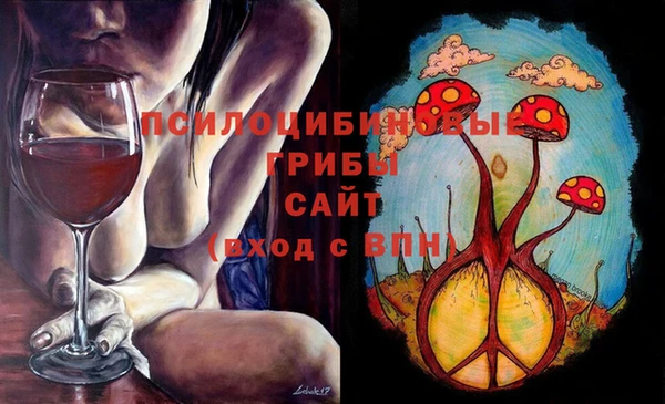 2c-b Верея