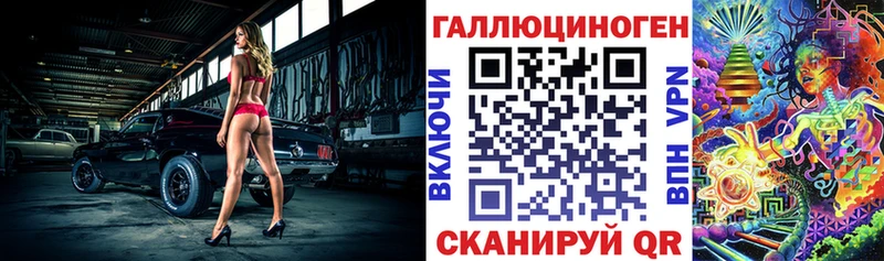 Галлюциногенные грибы Psilocybe  Купить где  Катайск 