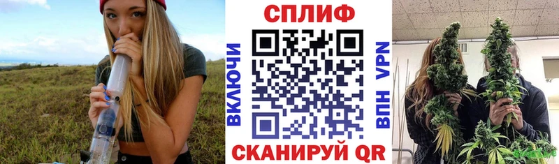 Марихуана план  Купить где  Катайск 